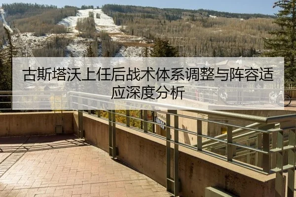 古斯塔沃上任后战术体系调整与阵容适应深度分析